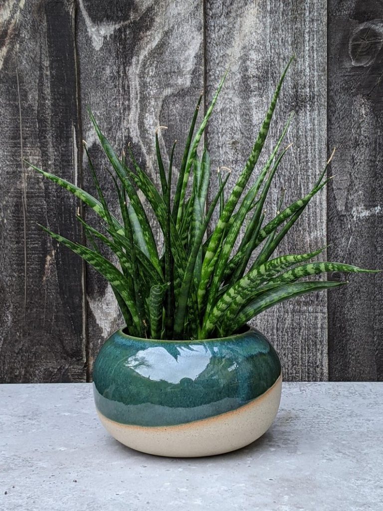 Handmade green ceramic plant pot