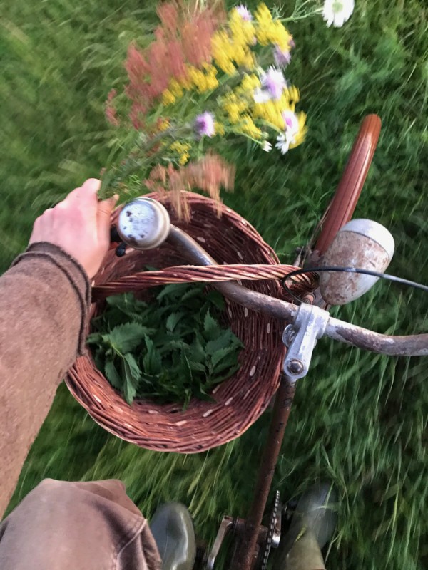 Foraging on a bicycle