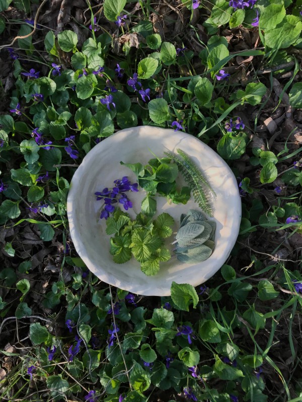 Plate of foraged herbs