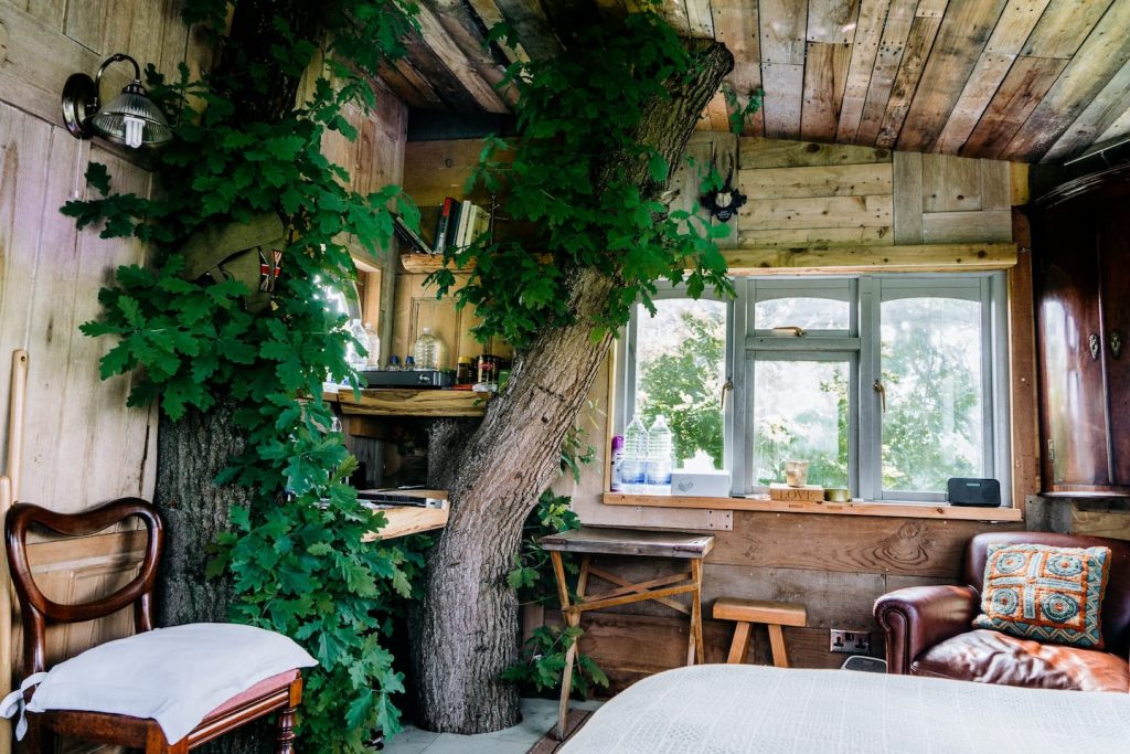 Treehouse to rent in Kent