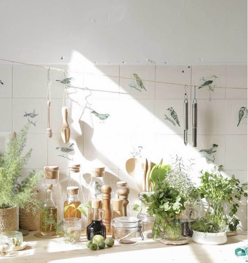 Plant filled French kitchen 